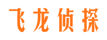 东宝寻人公司